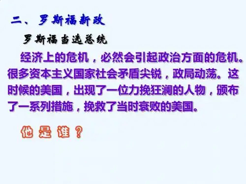 经济大危机课件 新人教版
