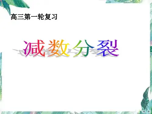 高三生物一轮复习-- 减数分裂 优质课件