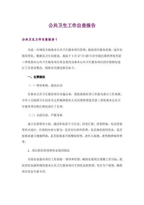 2024年公共卫生工作自查报告