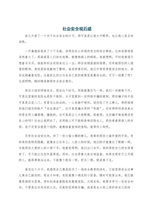 社会安全观后感