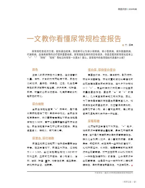 一文教你看懂尿常规检查报告