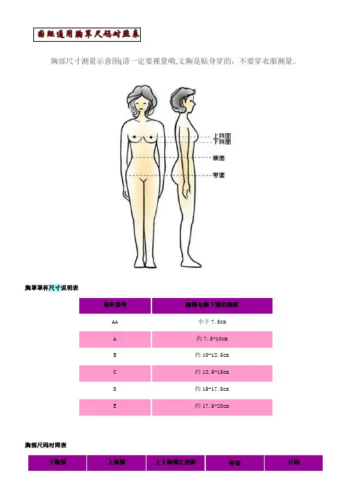 国际通用胸罩尺码对照表 及其他