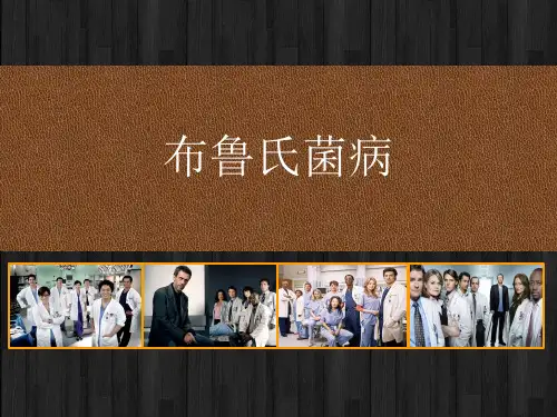 布氏杆菌病 PPT