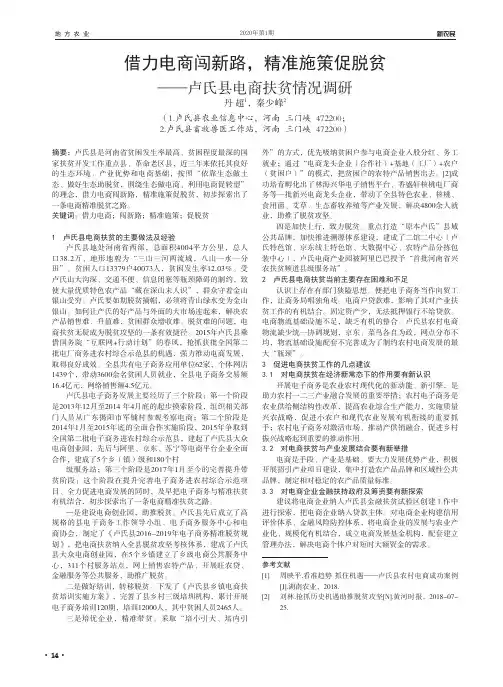 借力电商闯新路,精准施策促脱贫——卢氏县电商扶贫情况调研