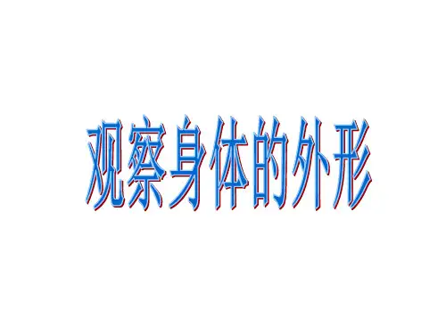 身体各部位名称.ppt