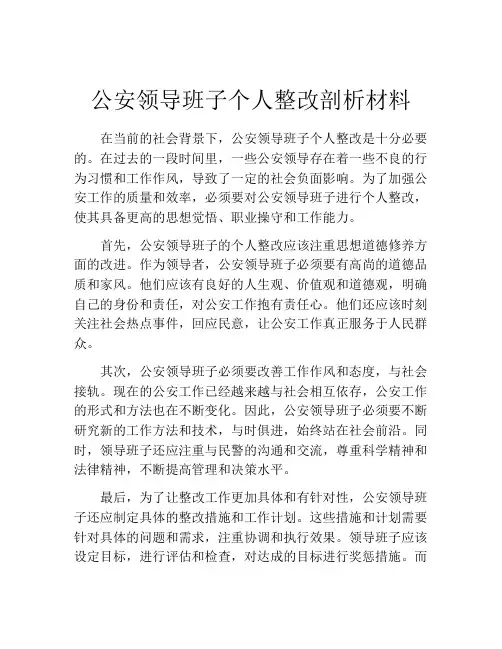 公安领导班子个人整改剖析材料