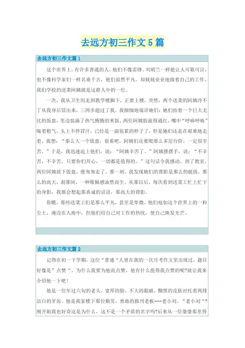 去远方初三作文5篇