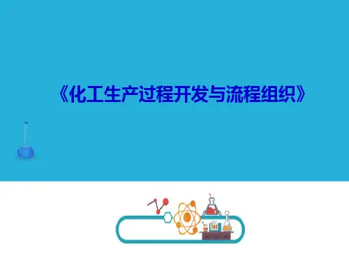 化工生产技术基础 化工生产过程开发与流程组织