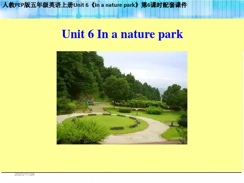 人教PEP版五年级英语上册Unit 6《In a nature park》第6课时配套课件