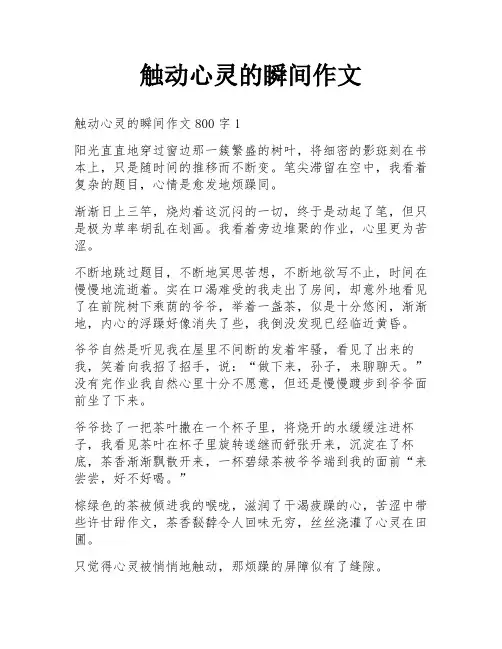 触动心灵的瞬间作文