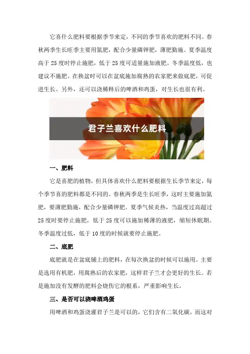 君子兰喜欢什么肥料：底肥用什么？可以浇啤酒和用鸡蛋吗...