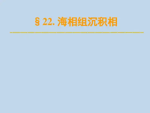 07-7海相组沉积相