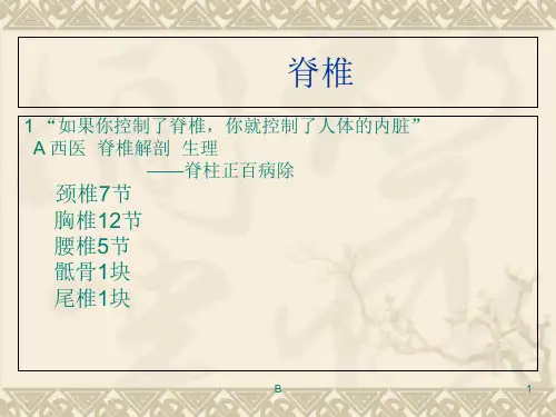 肩颈专业知识13867
