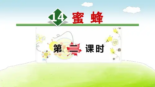 《蜜蜂》语文教学PPT课件(3篇)