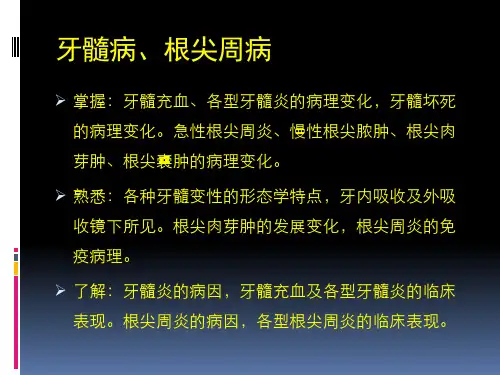 口腔组织病理学 ：牙髓、根尖病