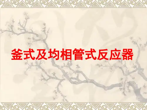 釜式及均相管式反应器PPT