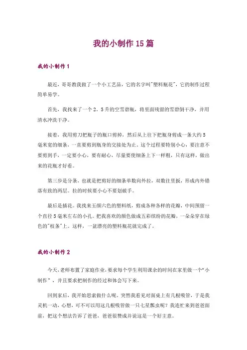 我的小制作15篇