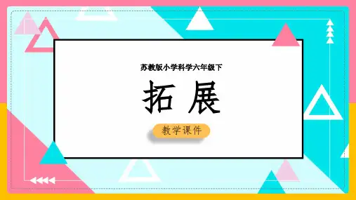 2021年小学科学苏教版六年级下册《拓展》PPT课件
