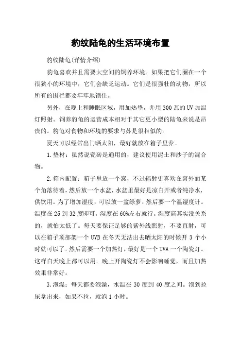 豹纹陆龟的生活环境布置