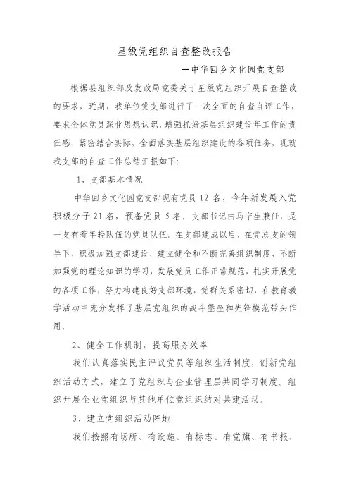 星级党支部自查整改报告【精选资料】