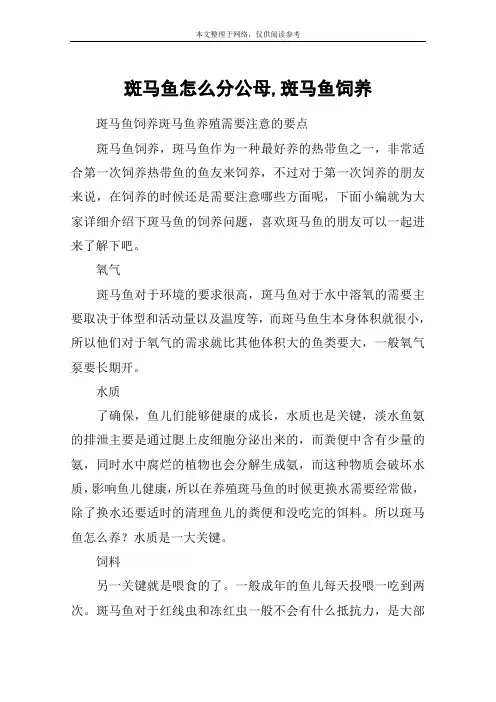 斑马鱼怎么分公母,斑马鱼饲养