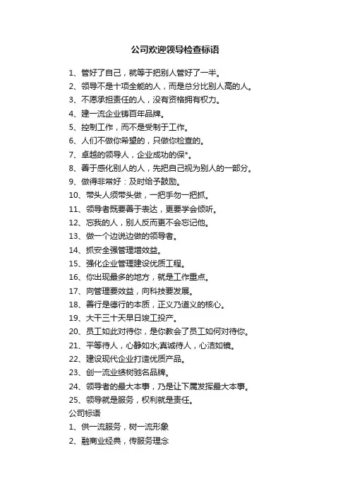 公司欢迎领导检查标语