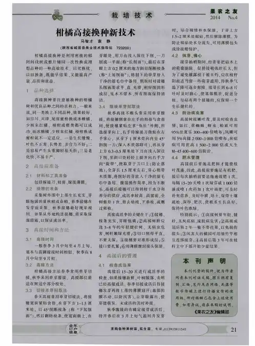 柑橘高接换种新技术