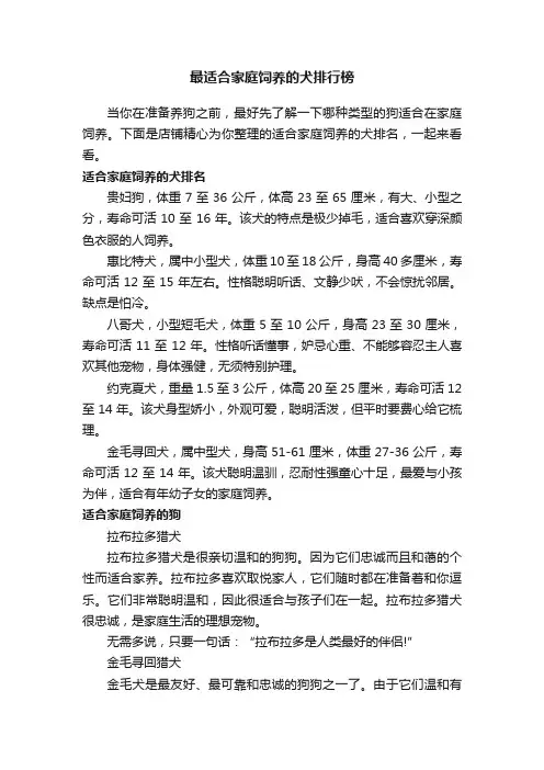 最适合家庭饲养的犬排行榜