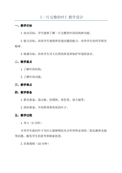 《一片完整的叶》教学设计