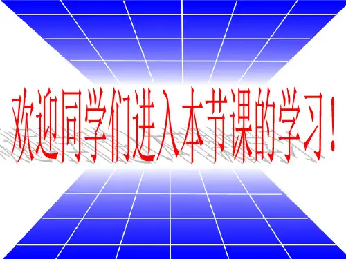 【苏教版】初中八年级下册数学课件  10.3相似图形