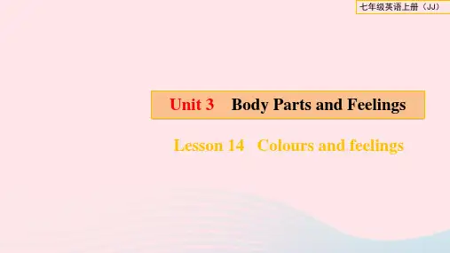 七年级英语上册冀教版--Lesson 14