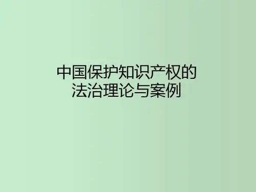 中国保护知识产权的法治理论与案例 教学PPT课件