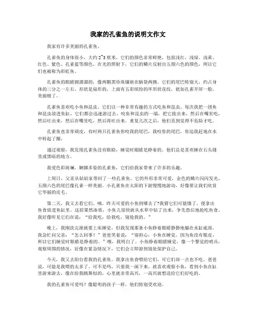 我家的孔雀鱼的说明文作文