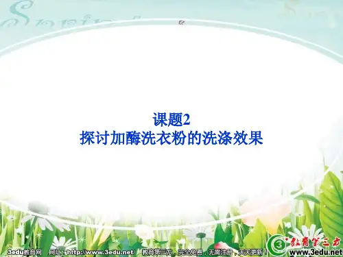 高二生物探讨加酶洗衣粉的洗涤效果