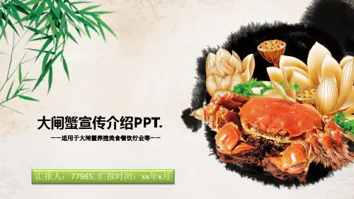大闸蟹宣传介绍PPT模板