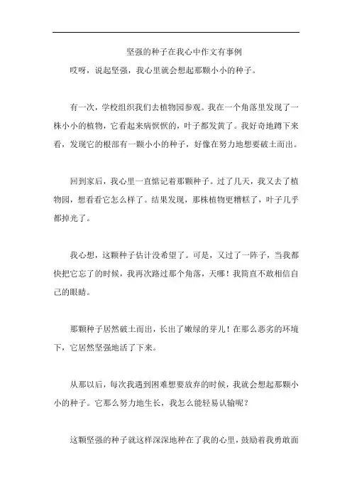 坚强的种子在我心中作文有事例