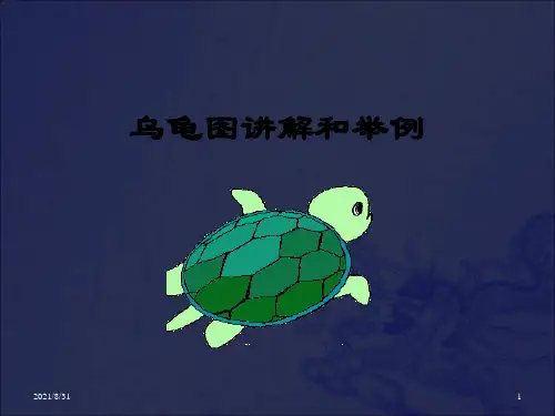 《乌龟图讲解》PPT课件_OK