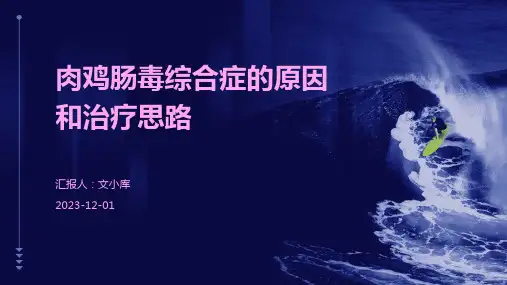 肉鸡肠毒综合症的原因和治疗思路