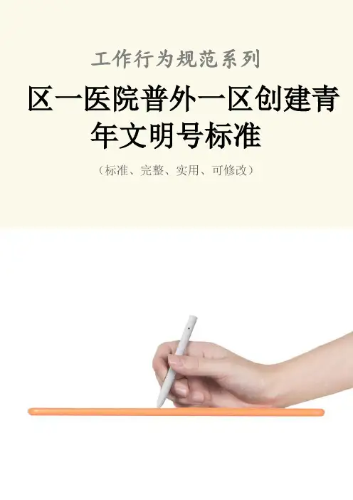 区一医院普外一区创建青年文明号标准范本