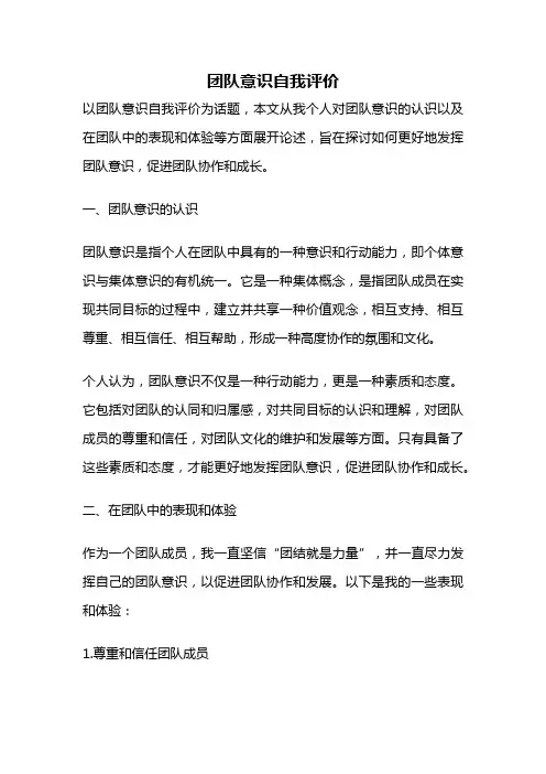 团队意识自我评价