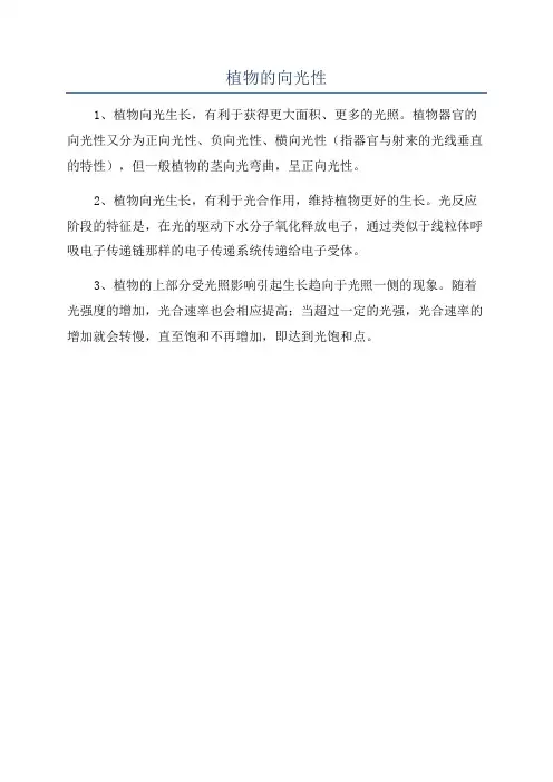 植物的向光性