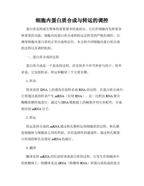 细胞内蛋白质合成与转运的调控