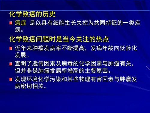 药物毒理学化学致癌作用