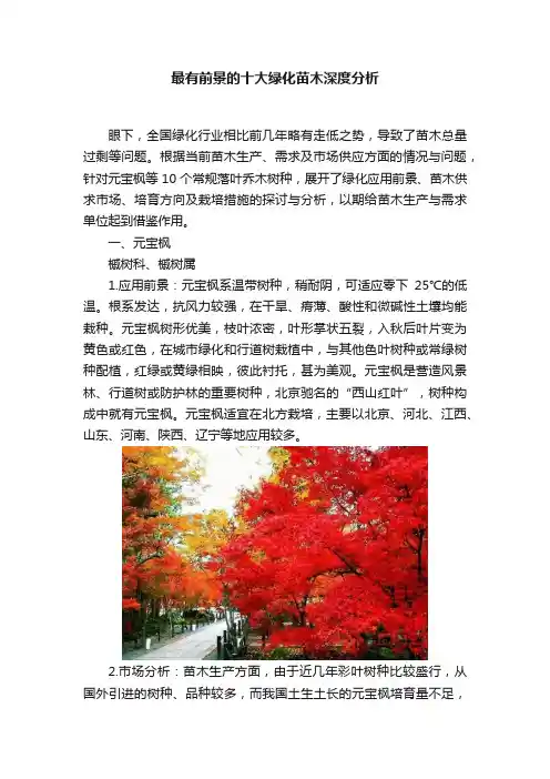 最有前景的十大绿化苗木深度分析