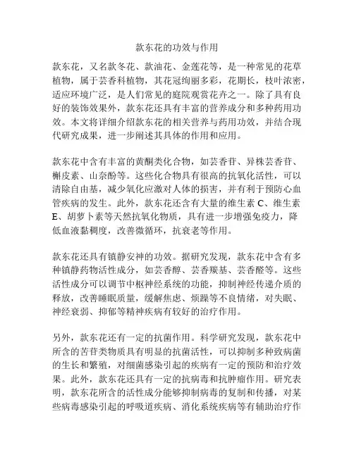 款东花的功效与作用