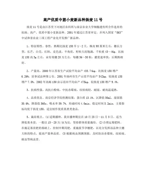 高产优质中筋小麦新品种扬麦11号