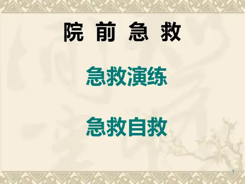 老年人急救自救PPT课件