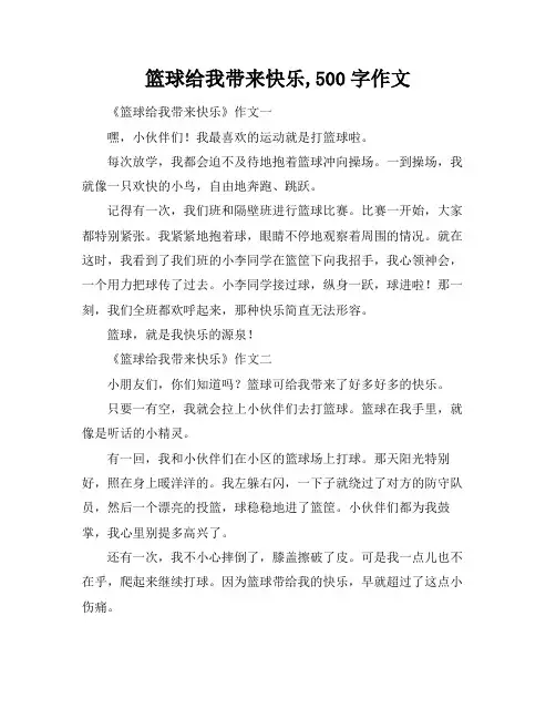 篮球给我带来快乐,500字作文