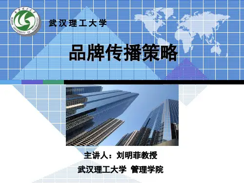品牌传播策略模板