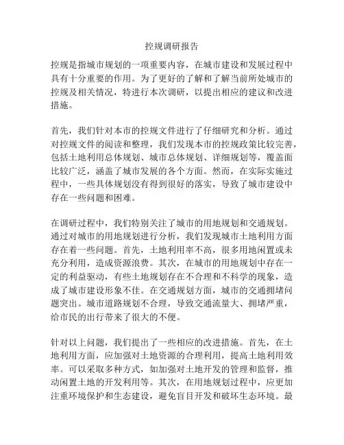 控规调研报告